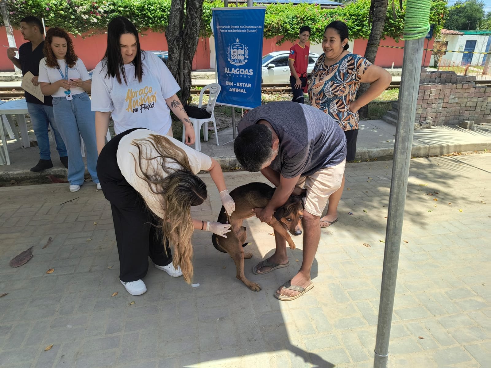 WhatsApp Image 2025-10-13 at 10.33.10