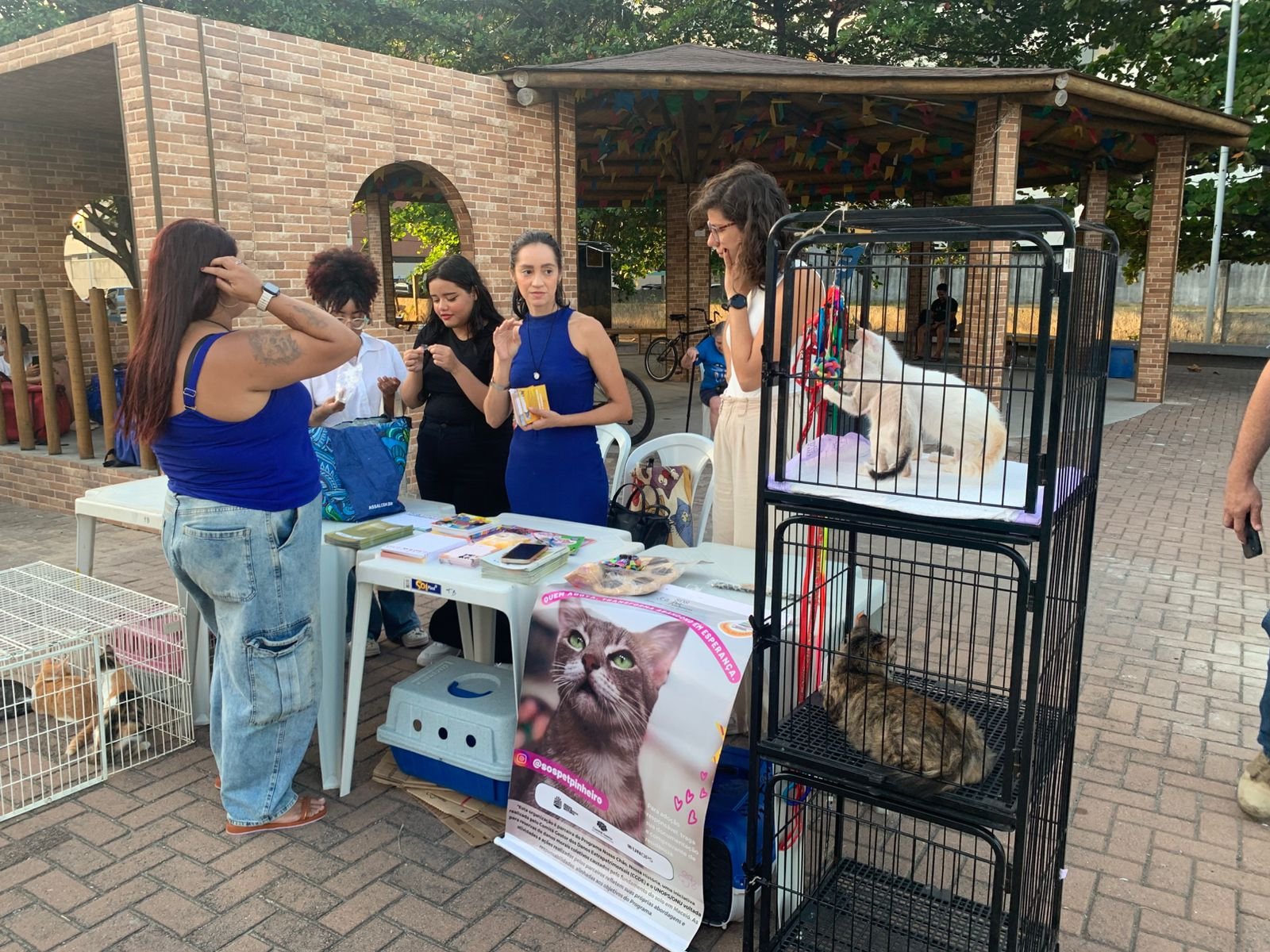 WhatsApp Image 2025-10-30 at 17.00.03 (3)